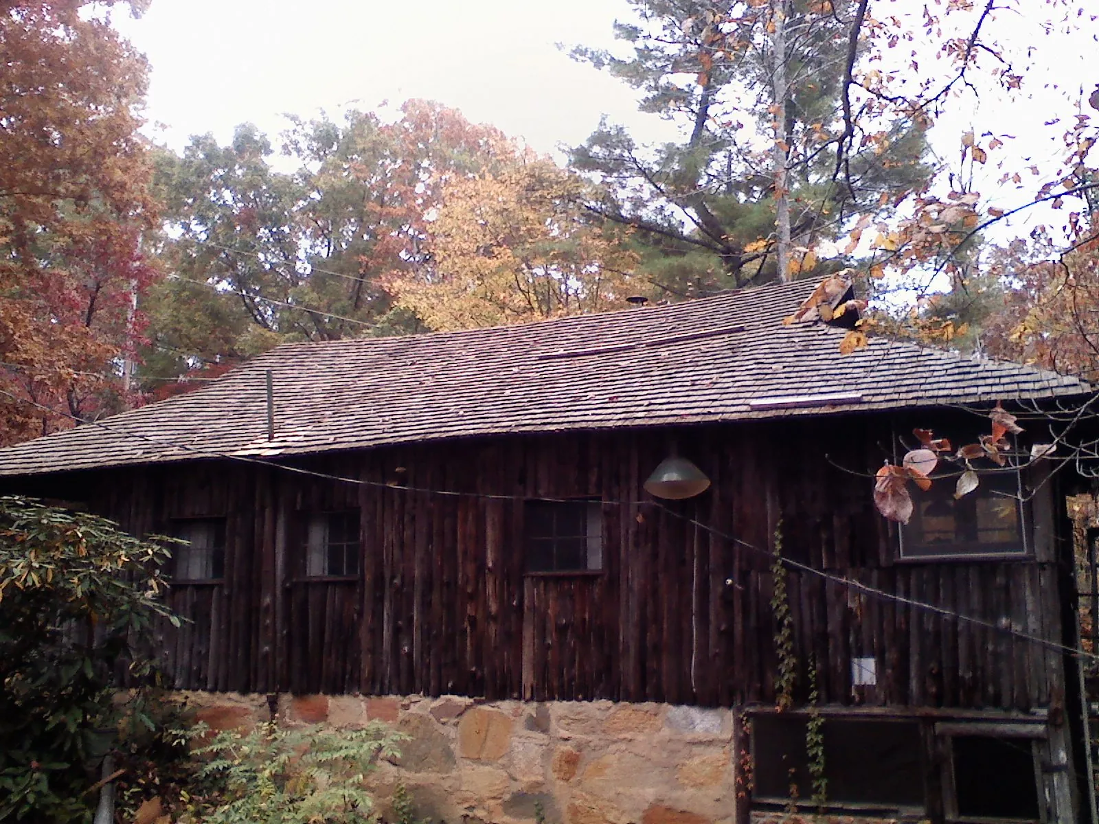 Weathered wood shake roof on a rustic board sided cabin in Bloomingdale